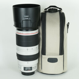 Canon EF100-400mm F4.5-5.6L IS II USM