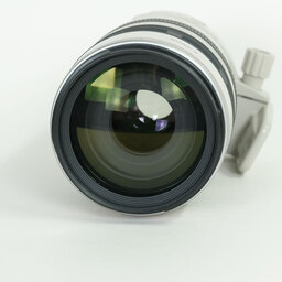 Canon EF100-400mm F4.5-5.6L IS USM