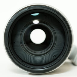 Canon EF100-400mm F4.5-5.6L IS II USM