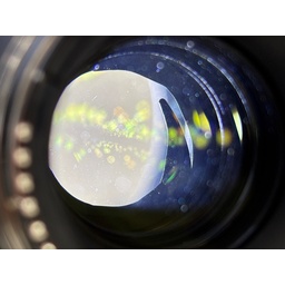 TAMRON SP 70-200mm F/2.8 Di VC USD (Model A009) [ニコンF用]