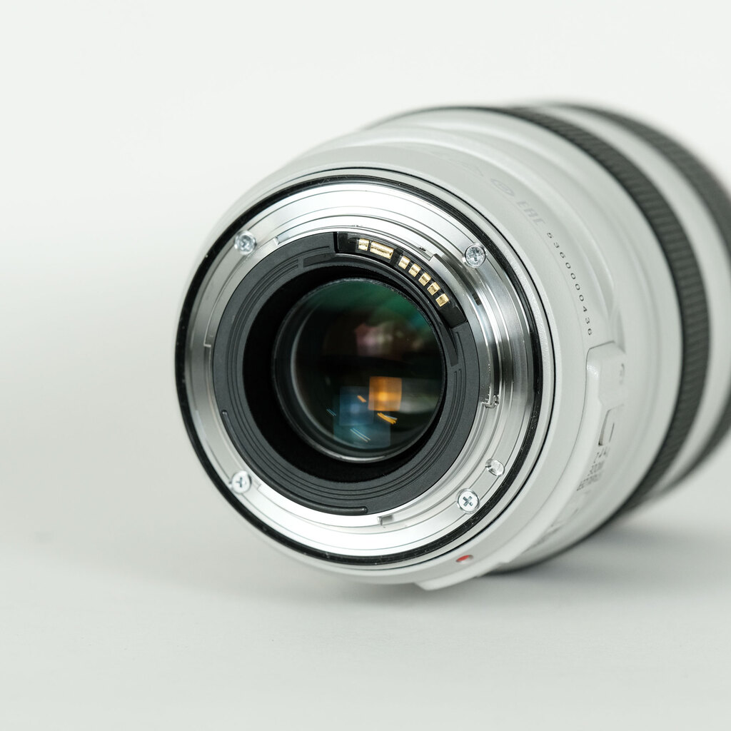 Canon EF70-300mm F4-5.6L IS USM