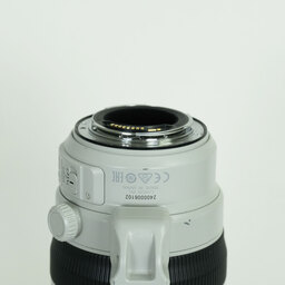 Canon EF100-400mm F4.5-5.6L IS II USM
