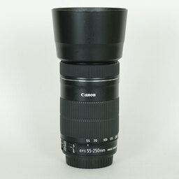 Canon EF-S55-250mm F4-5.6 IS STM