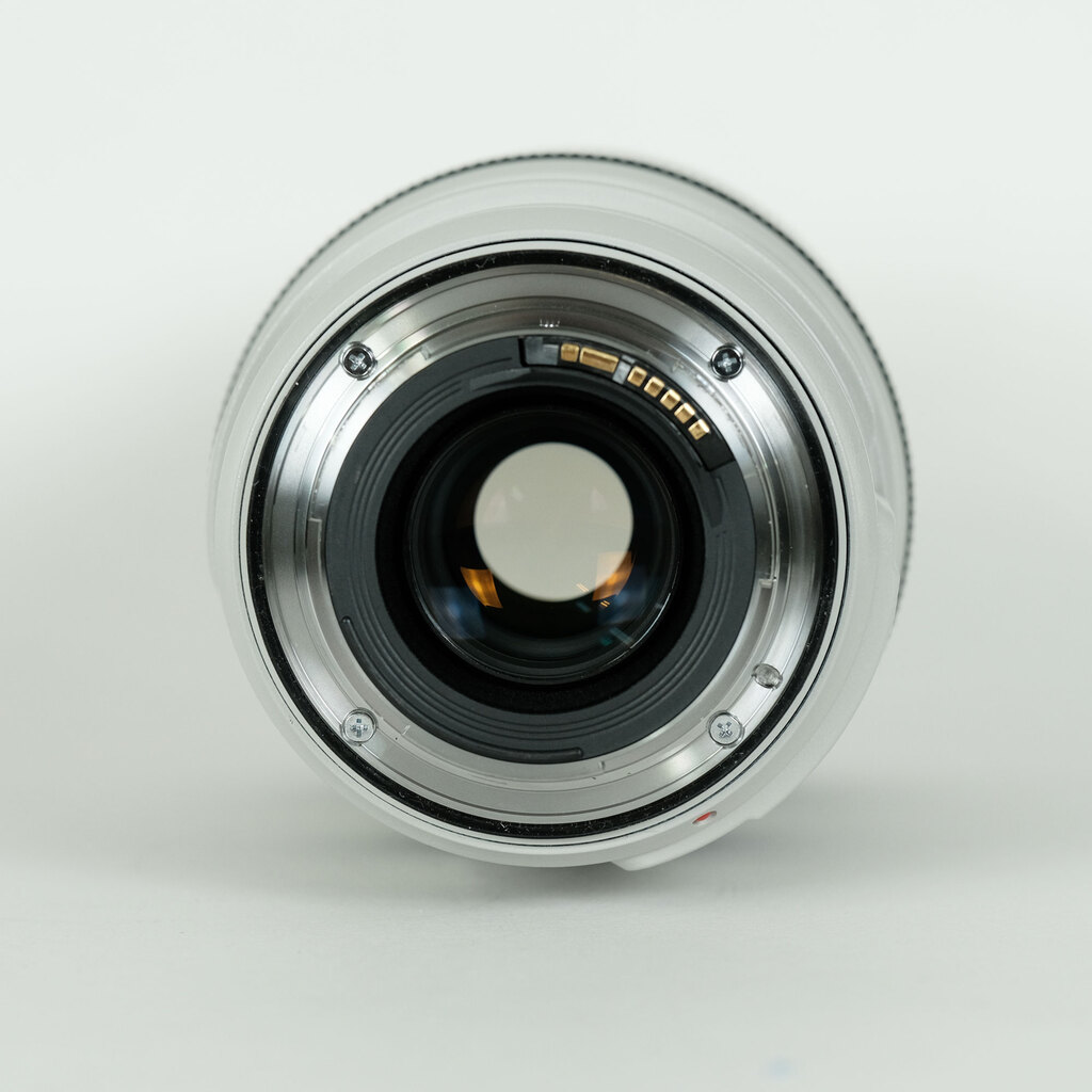 Canon EF70-300mm F4-5.6L IS USM