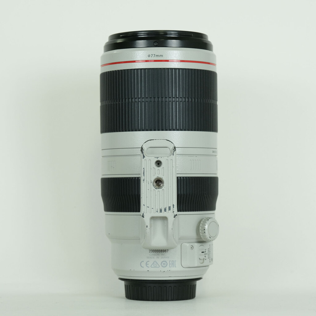 Canon EF100-400mm F4.5-5.6L IS II USM