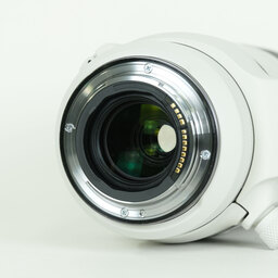 Canon RF100-500mm F4.5-7.1L IS USM Canon RF100-500mm F4.5-7.1L IS USM