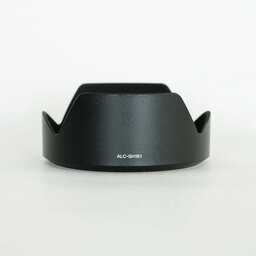 SONY E 16-55mm F2.8 G SEL1655G