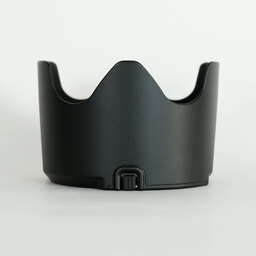 Nikon AF-S NIKKOR 70-200mm f/2.8E FL ED VR Nikon AF-S NIKKOR 70-200mm f/2.8E FL ED VR