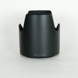 TAMRON SP 70-300mm F4-5.6 Di USD Model A005S (ソニーA用)