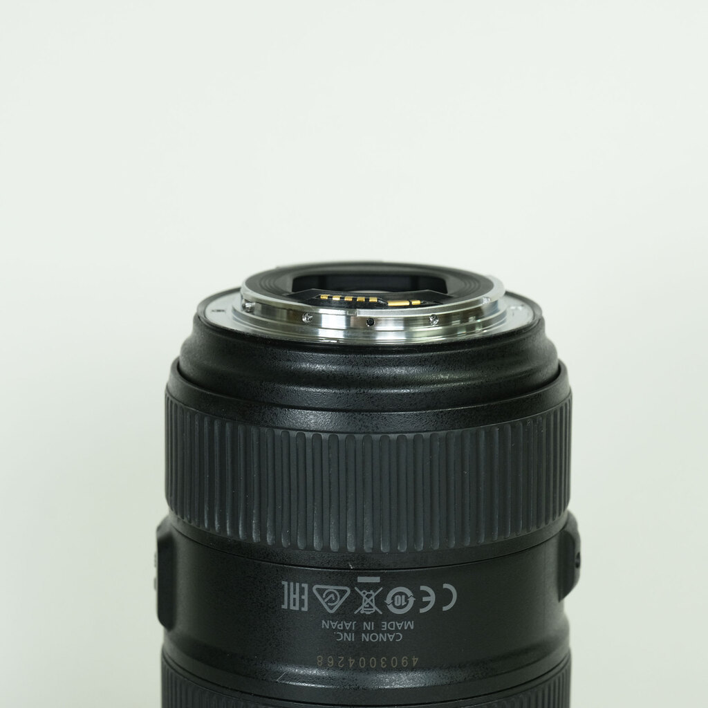 Canon EF24-105mm F4L IS II USM