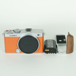 Panasonic LUMIX DC-S9