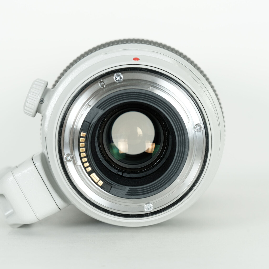 Canon EF100-400mm F4.5-5.6L IS II USM