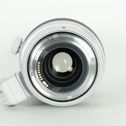 Canon EF100-400mm F4.5-5.6L IS II USM