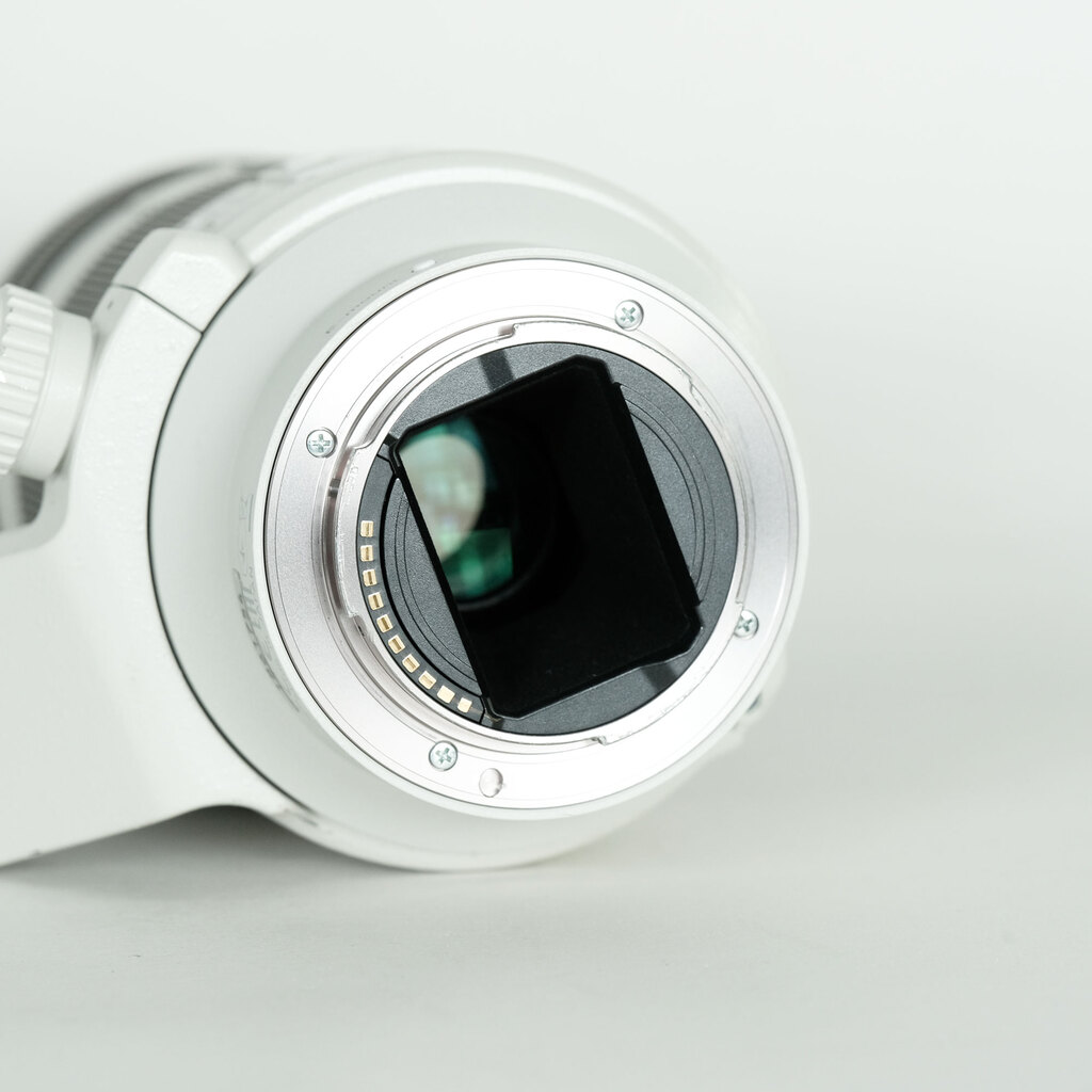 SONY FE 70-200mm F4 G OSS SEL70200G