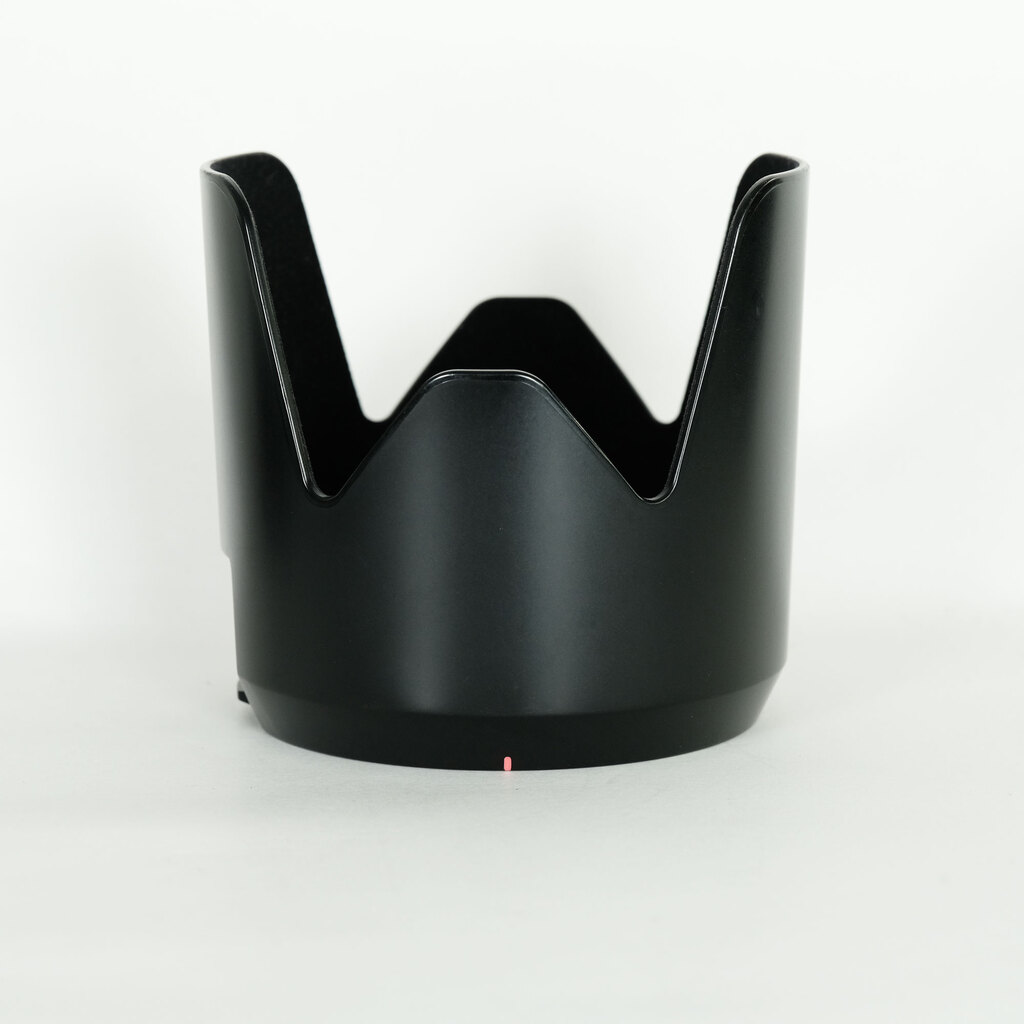 SONY 70-200mm F2.8G SSM(ソニーA用)