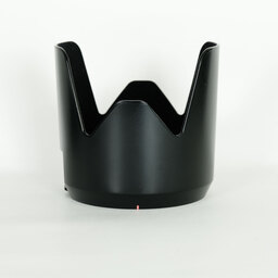 SONY 70-200mm F2.8G SSM(ソニーA用)