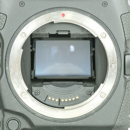 Canon EOS-1D X Mark III