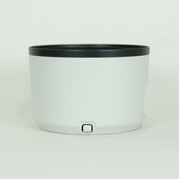 Canon RF100-500mm F4.5-7.1L IS USM Canon RF100-500mm F4.5-7.1L IS USM