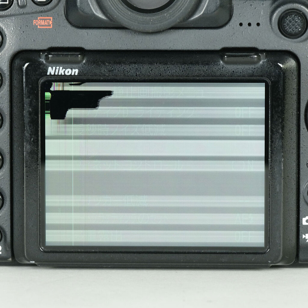 Nikon D500