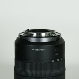 Canon RF24-105mm F4 L IS USM