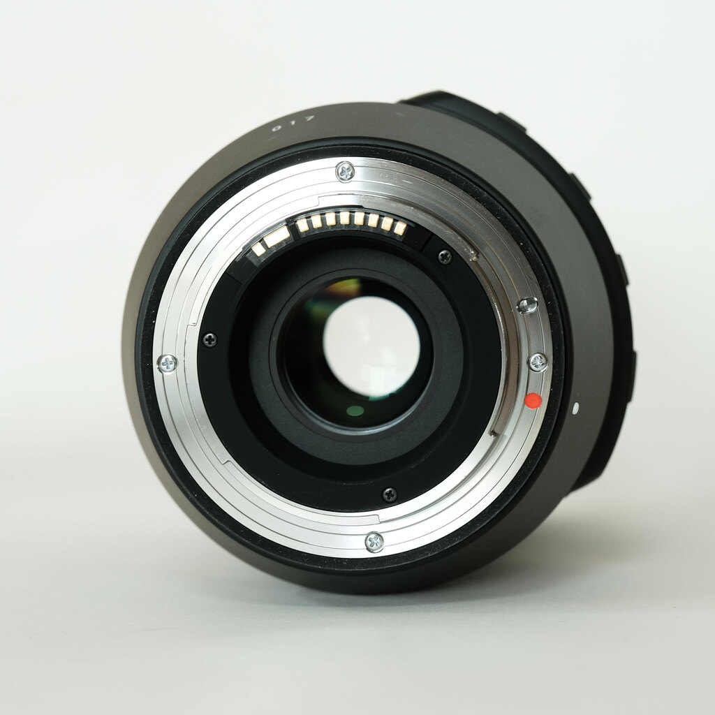 SIGMA 100-400mm F5-6.3 DG OS HSM｜Contemporary [キヤノンEF用]