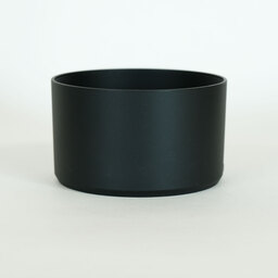 Canon RF100mm F2.8 L MACRO IS USM