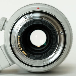 Canon EF100-400mm F4.5-5.6L IS II USM