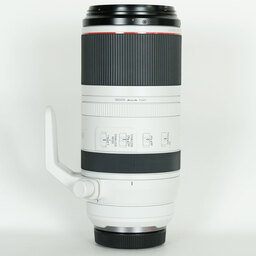 Canon RF100-500mm F4.5-7.1L IS USM