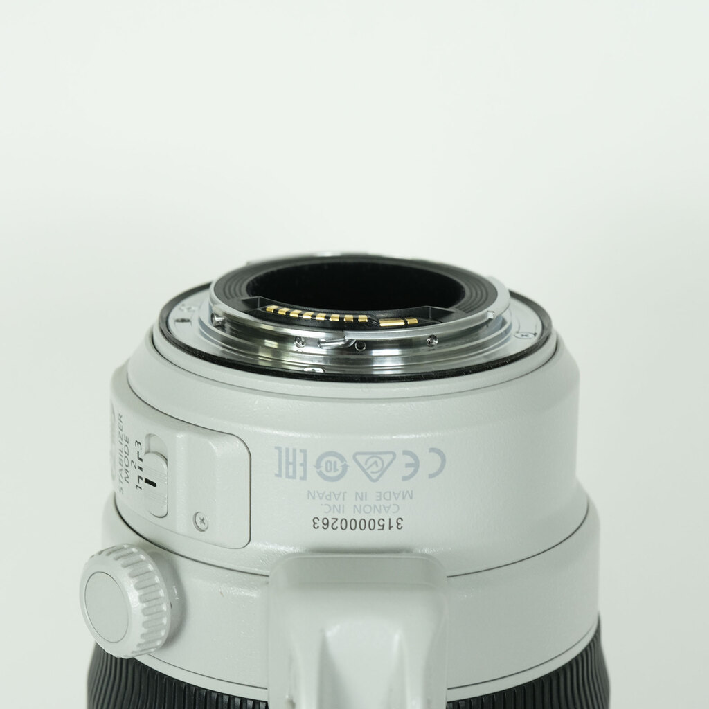 Canon EF100-400mm F4.5-5.6L IS II USM