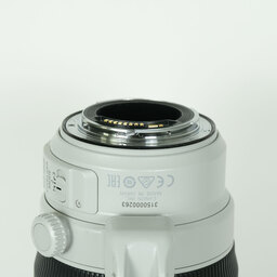 Canon EF100-400mm F4.5-5.6L IS II USM
