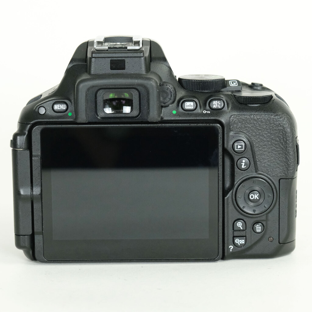 Nikon D5500