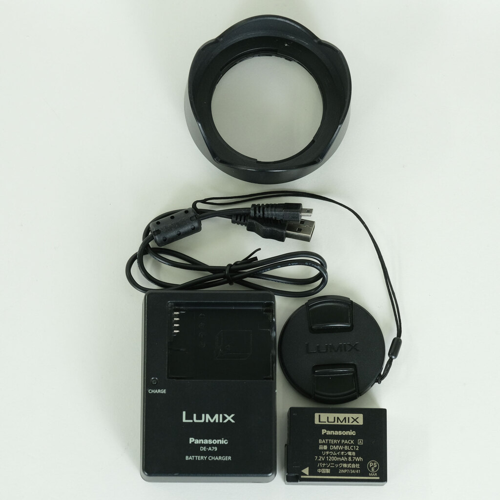 Panasonic LUMIX DMC-FZ300
