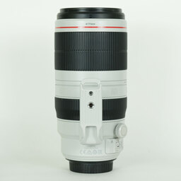 Canon EF100-400mm F4.5-5.6L IS II USM