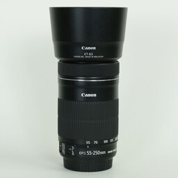 Canon EF-S55-250mm F4-5.6 IS STM