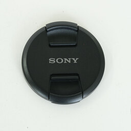SONY FE 24-105mm F4 G OSS SEL24105G