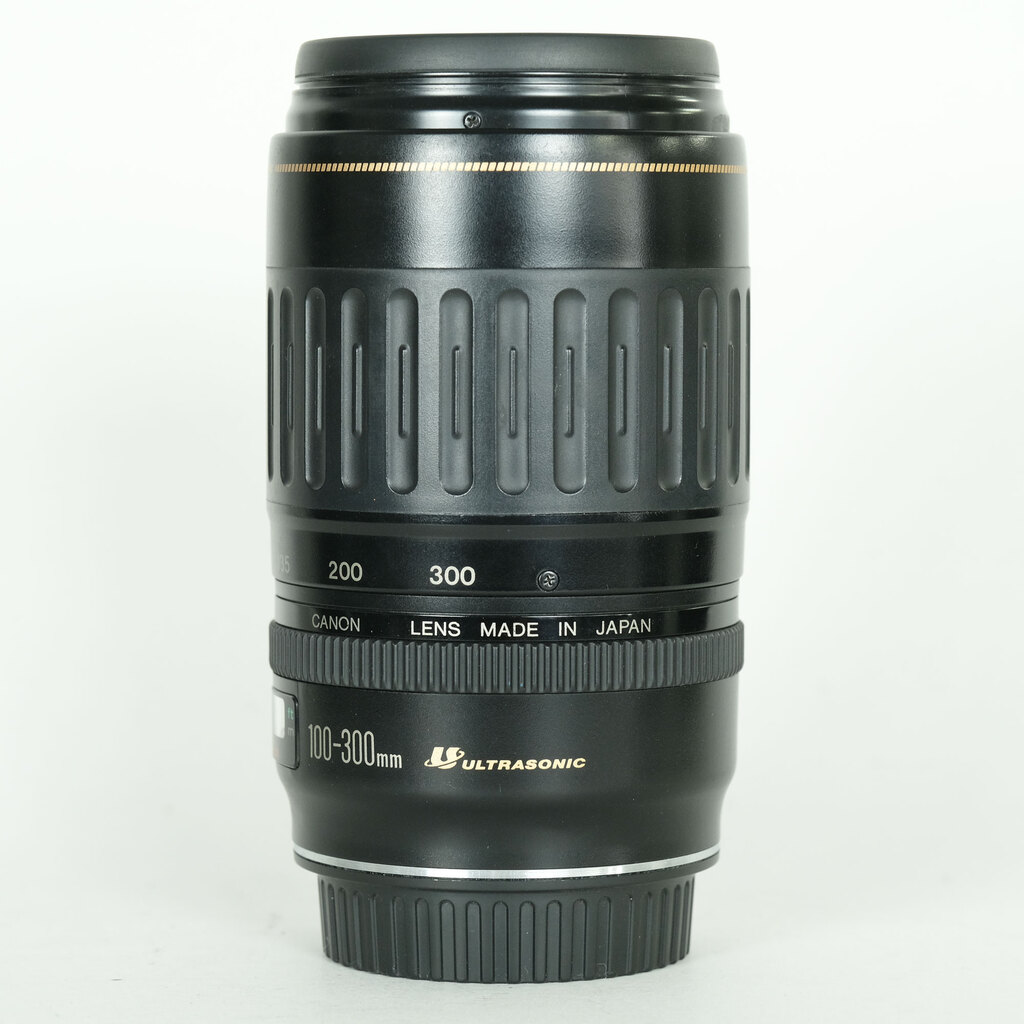 EF100-300mm F4.5-5.6 USM