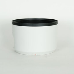 Canon RF100-500mm F4.5-7.1L IS USM