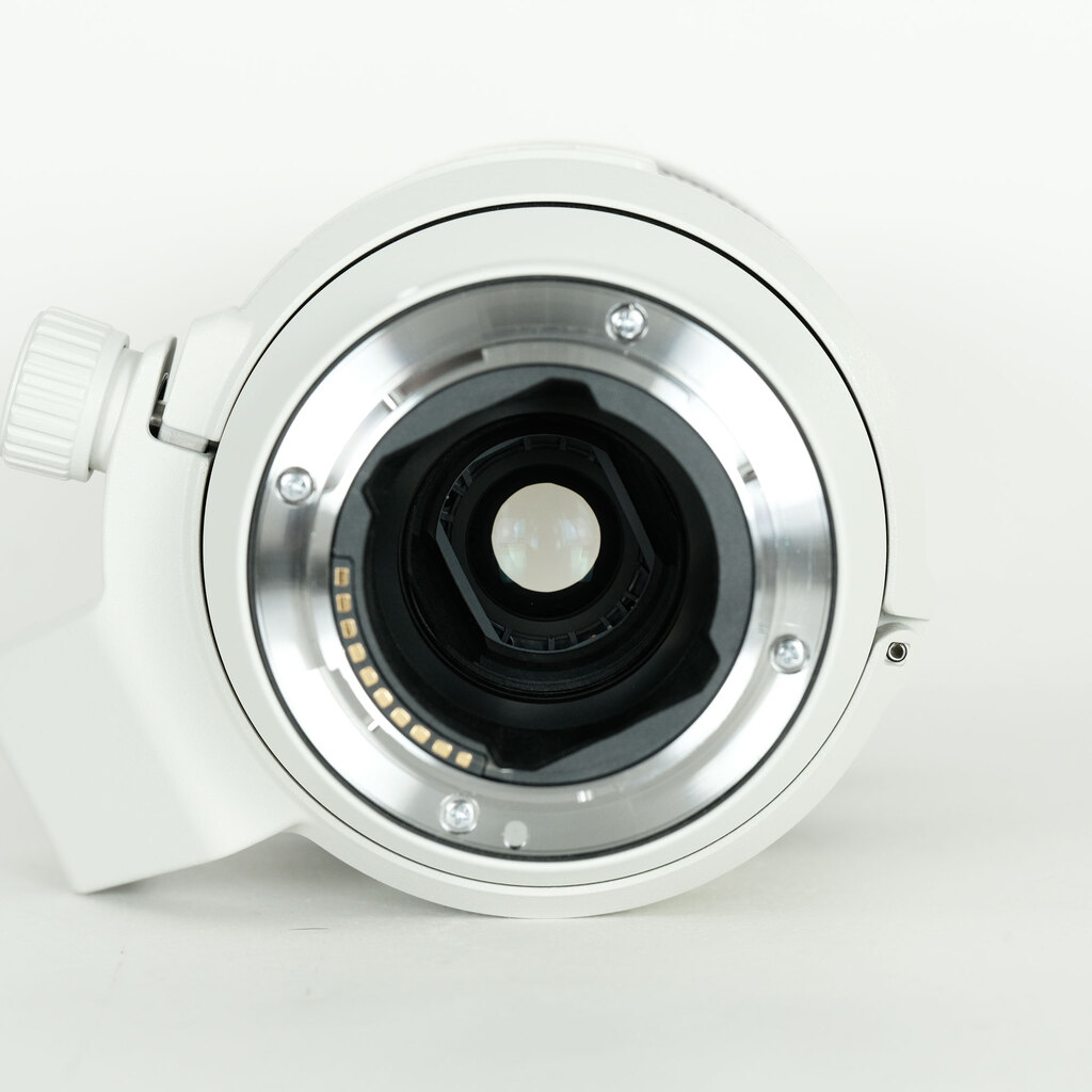 SONY FE70-200mm F4 Macro G OSS II SEL70200G2