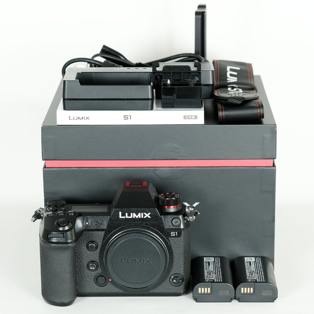 Panasonic LUMIX DC-S1