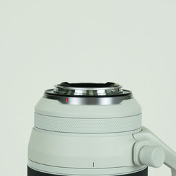 Canon RF100-500mm F4.5-7.1L IS USM