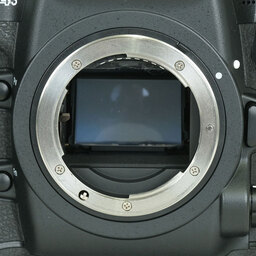 Nikon D4S