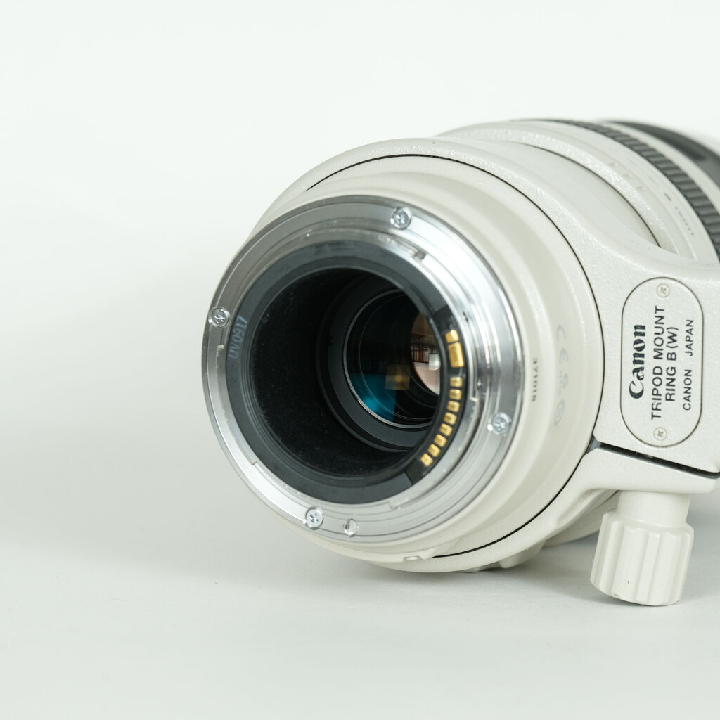 Canon EF100-400mm F4.5-5.6L IS USM