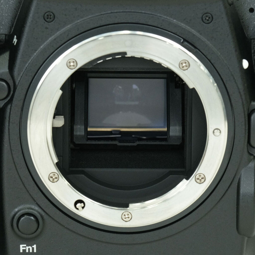 Nikon D500 Nikon D500