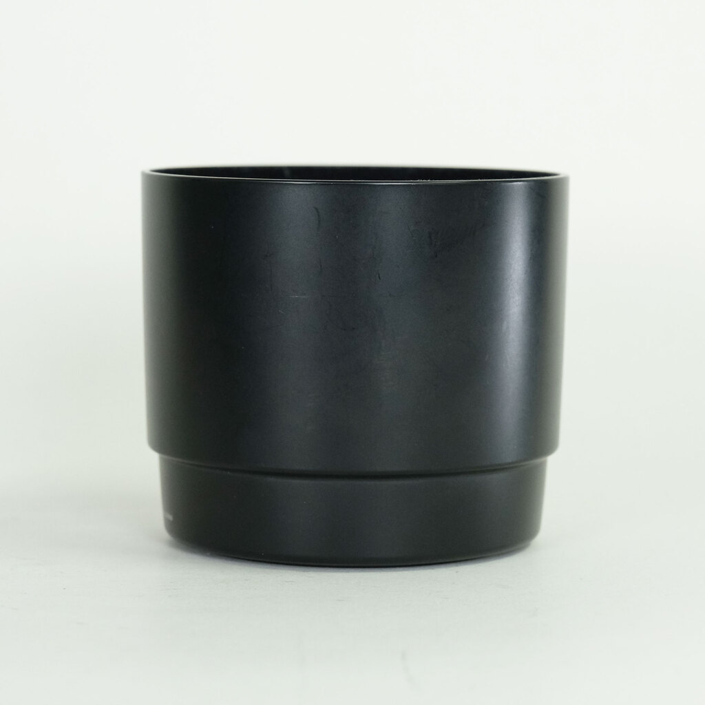 Canon EF100mm F2.8 マクロ USM