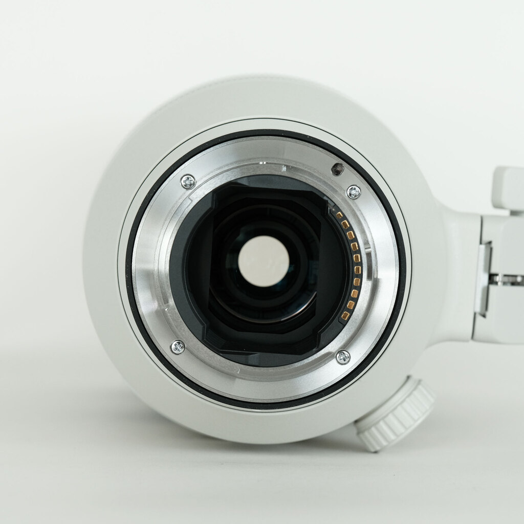 SONY FE 100-400mm F4.5-5.6 GM OSS SEL100400GM