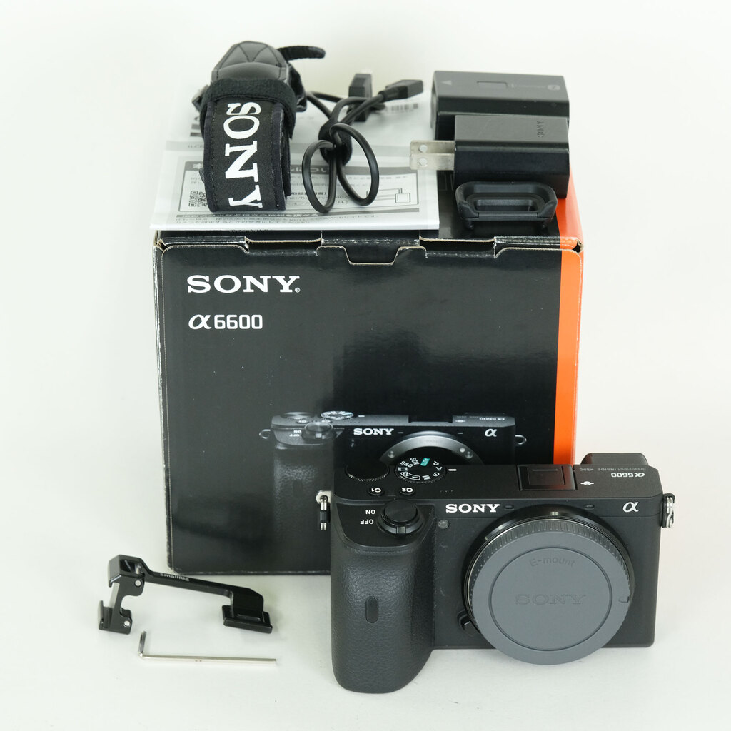 SONY α6600（ILCE-6600）の出品 | ONE SCENE（ワンシーン）