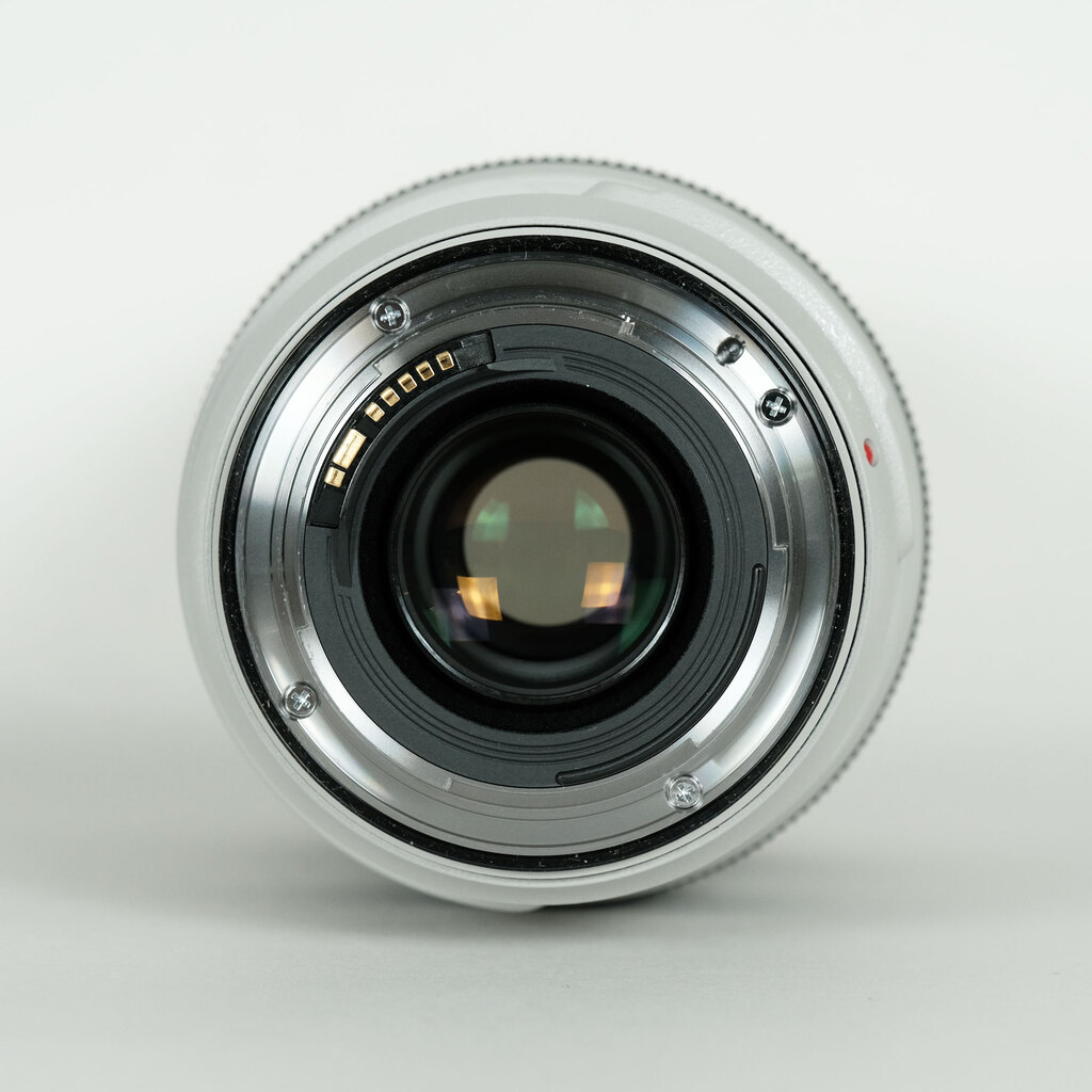 Canon EF70-300mm F4-5.6L IS USM