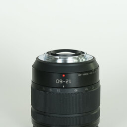 Panasonic LUMIX G VARIO 12-60mm / F3.5-5.6 ASPH. / POWER O.I.S.