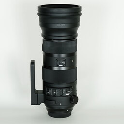 SIGMA 150-600mm F5-6.3 DG OS HSM | Sports [キヤノン用]