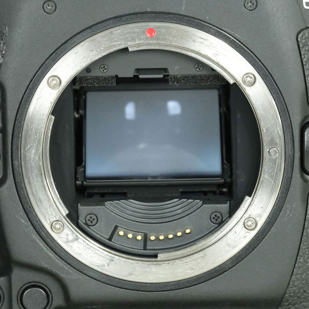 Canon EOS-1D X Mark II